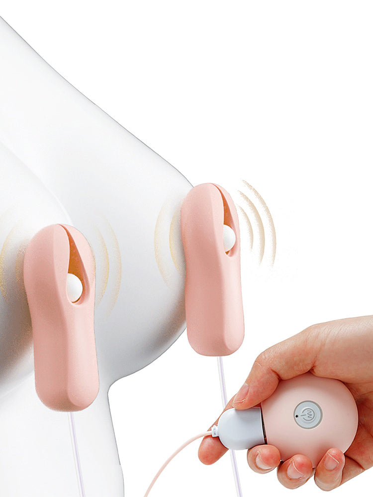 Ensemble de pinces à tétons électro vibrantes roses, jouets sexuels, jeux pour adultes, Machine de flirt érotique