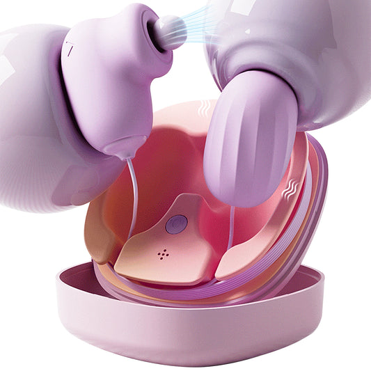 Sex Toys Love Egg Vibrateur Télécommande Rechargeable Étanche Sexy Rose