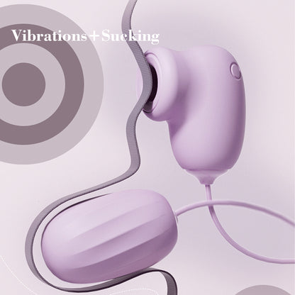 Sex Toys Love Egg Vibrateur Télécommande Rechargeable Étanche Sexy Rose