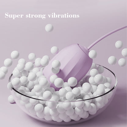Sex Toys Love Egg Vibrateur Télécommande Rechargeable Étanche Sexy Rose